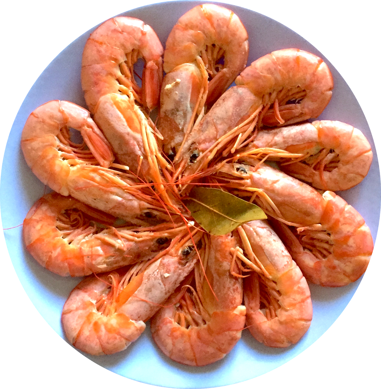 Prawns